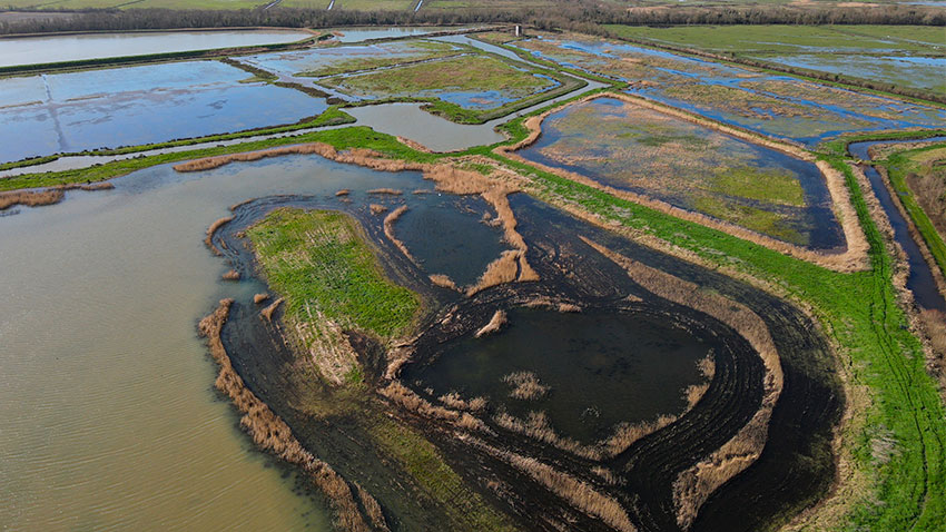 La-cabane-de-moins-01-FDC17