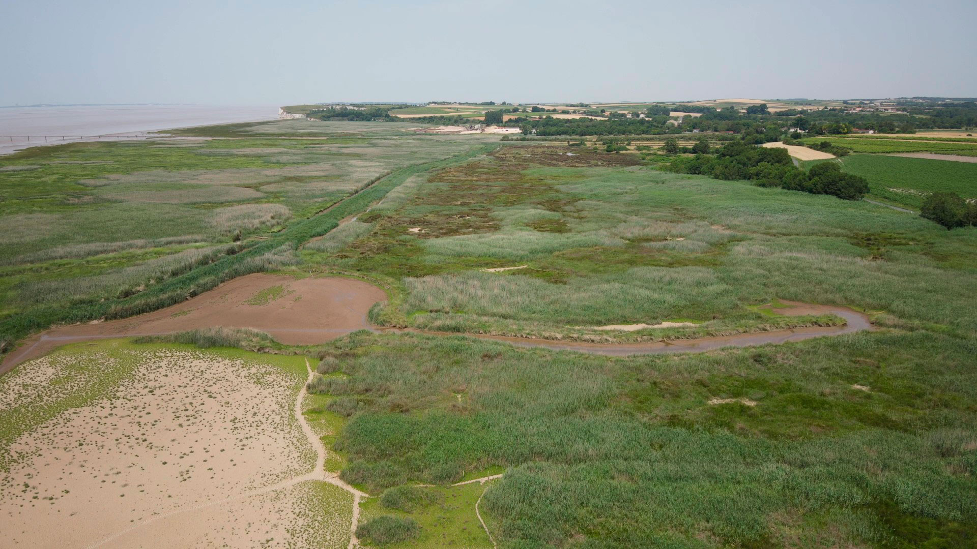 La Motte Ronde à Chenac