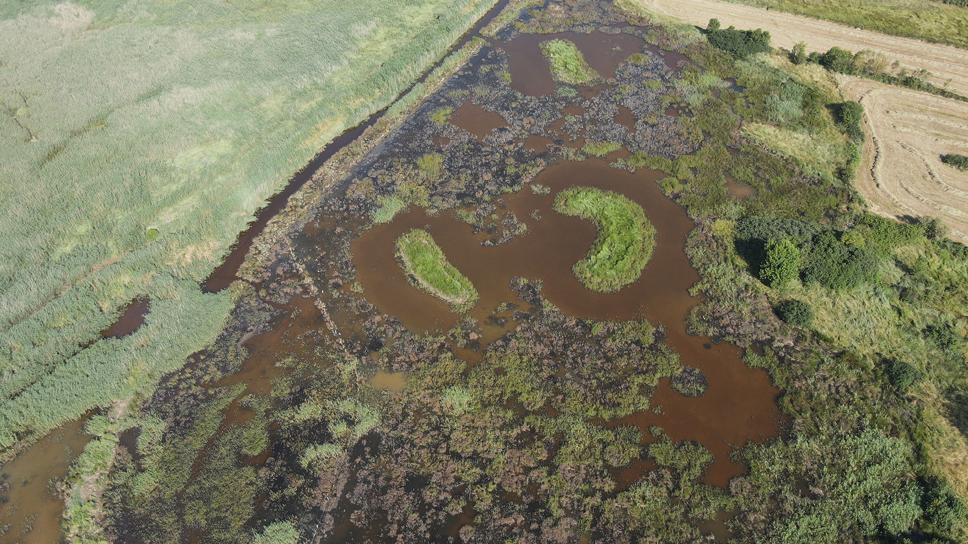 La Motte Ronde à Chenac
