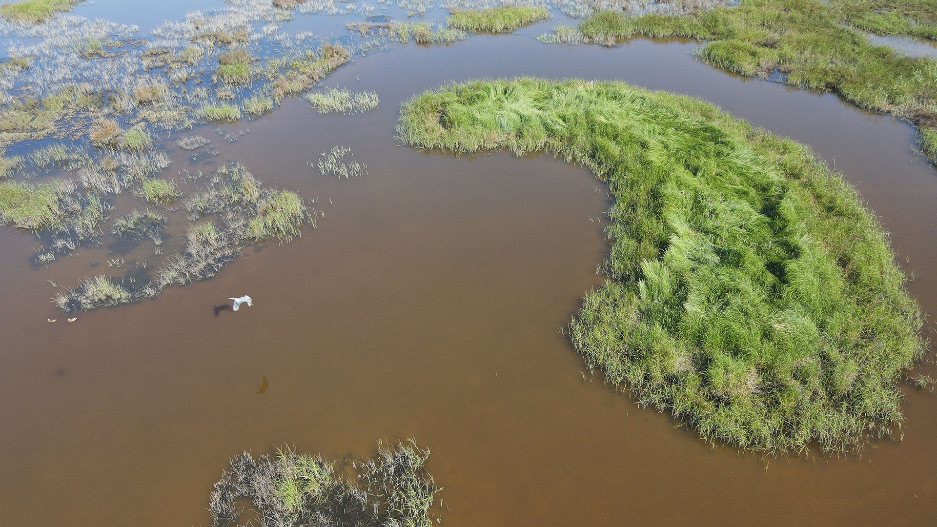 La Motte Ronde à Chenac